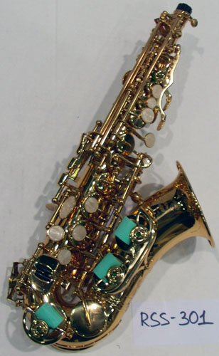 rss-301-1.jpg